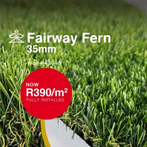 35mm Fairway Fern