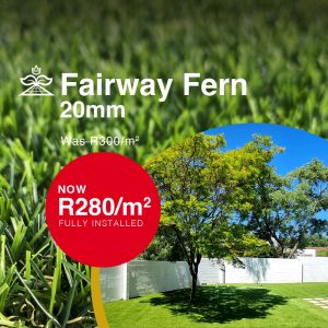 20mm Fairway Fern