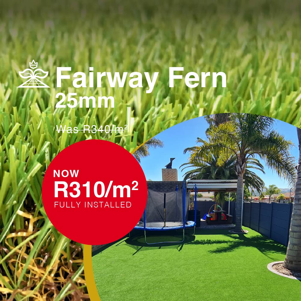 25mm Fairway Fern