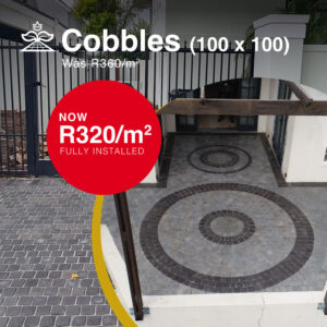 Cobbles 100 x 100