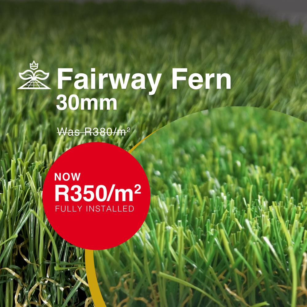 30m Fairway Fern