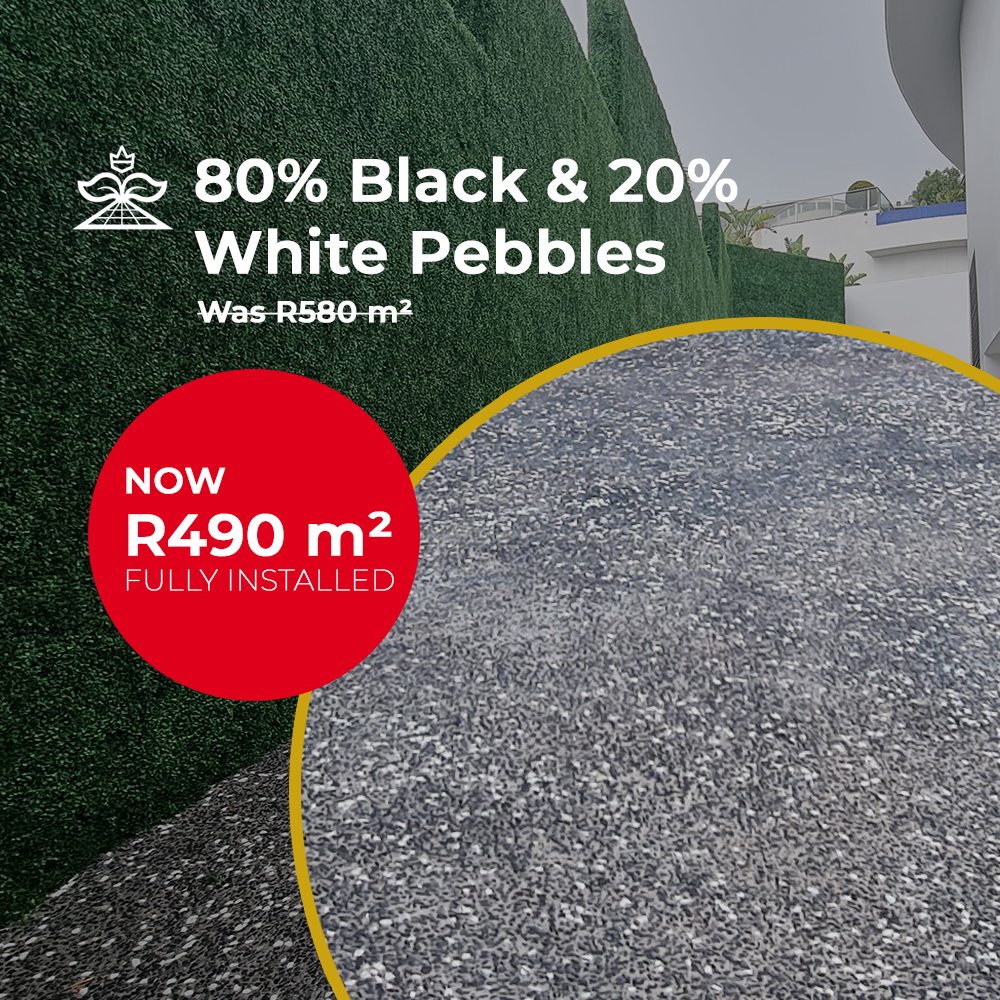 80 Black & 20 White Pebbles